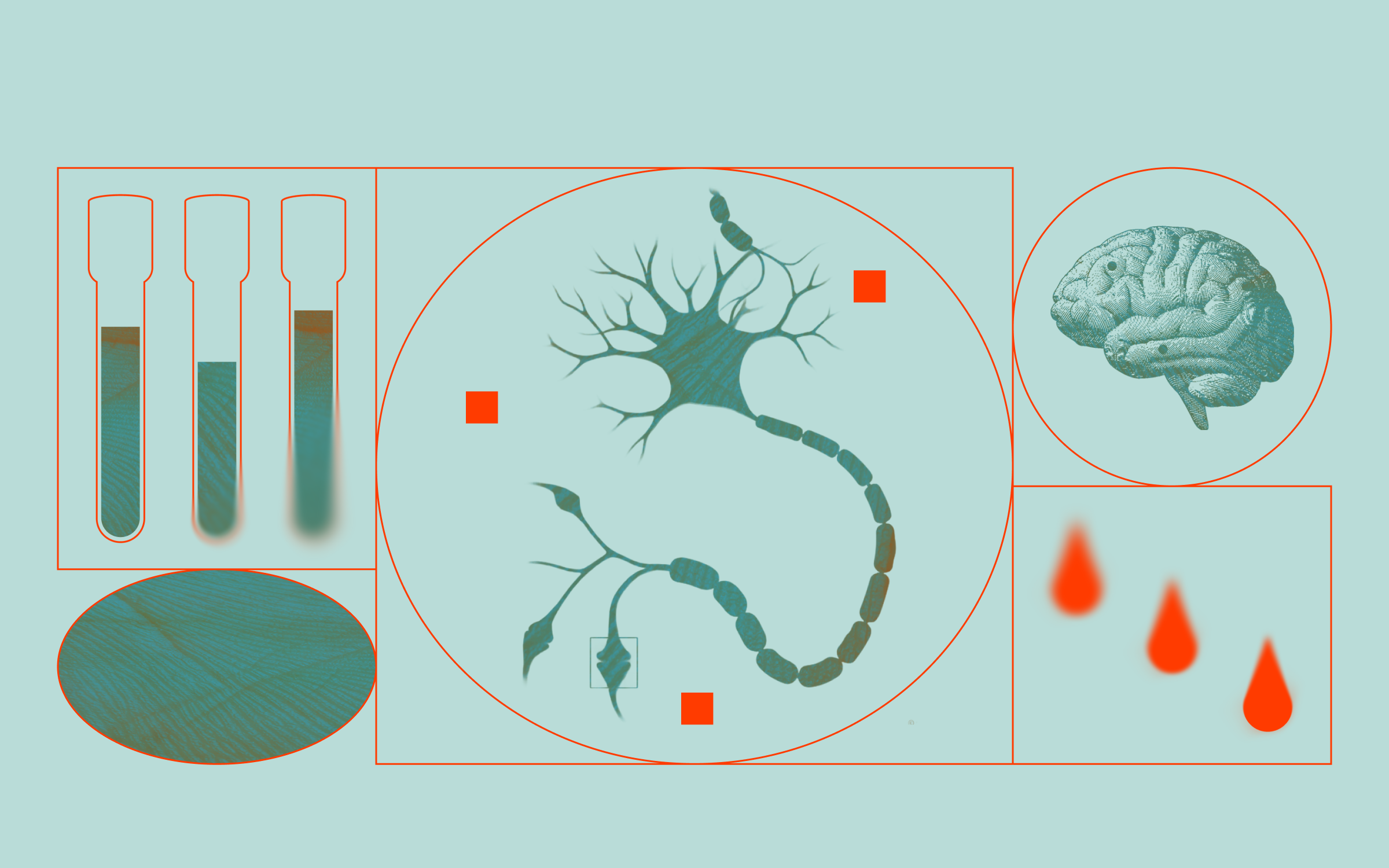 An illustration of medically related images including blood vials, skin texture, a synapse, a brain, and blood drops.