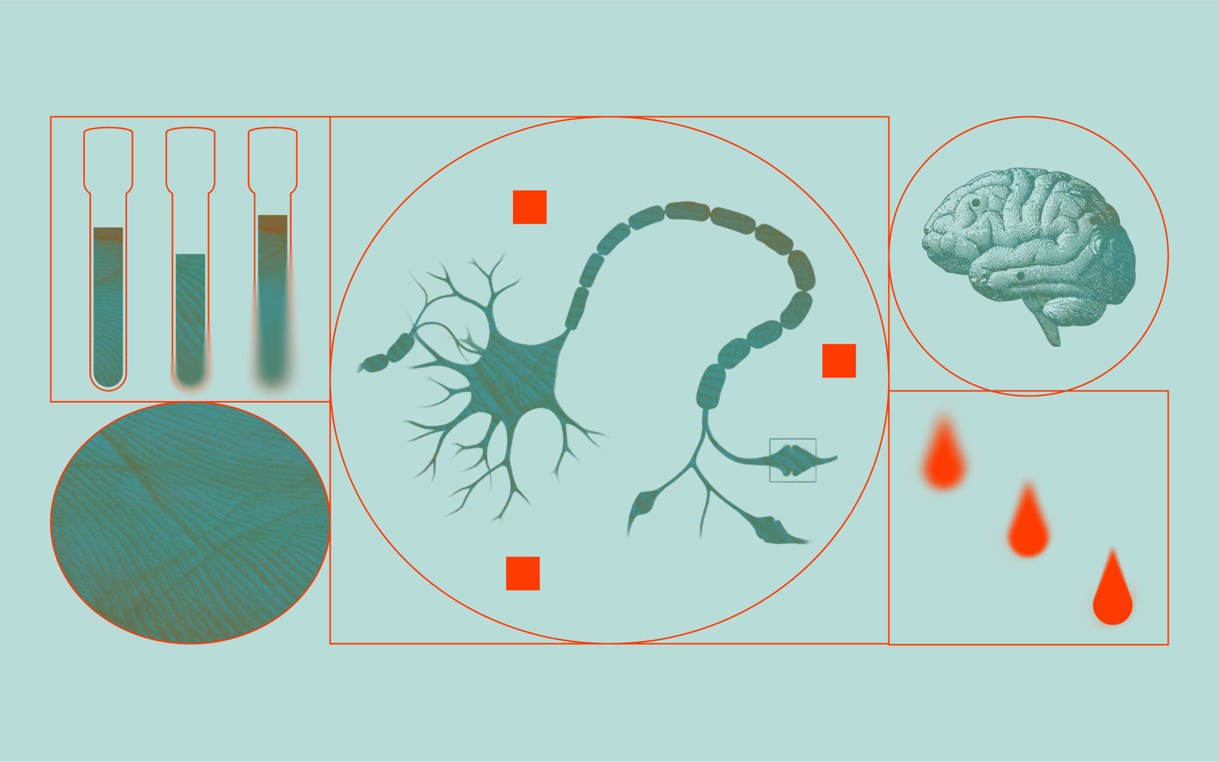 An illustration of medically related images including blood vials, skin texture, a synapse, a brain, and blood drops.