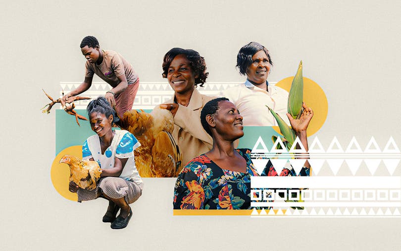 On Africa’s farms, the forecast calls for adaptation and innovation