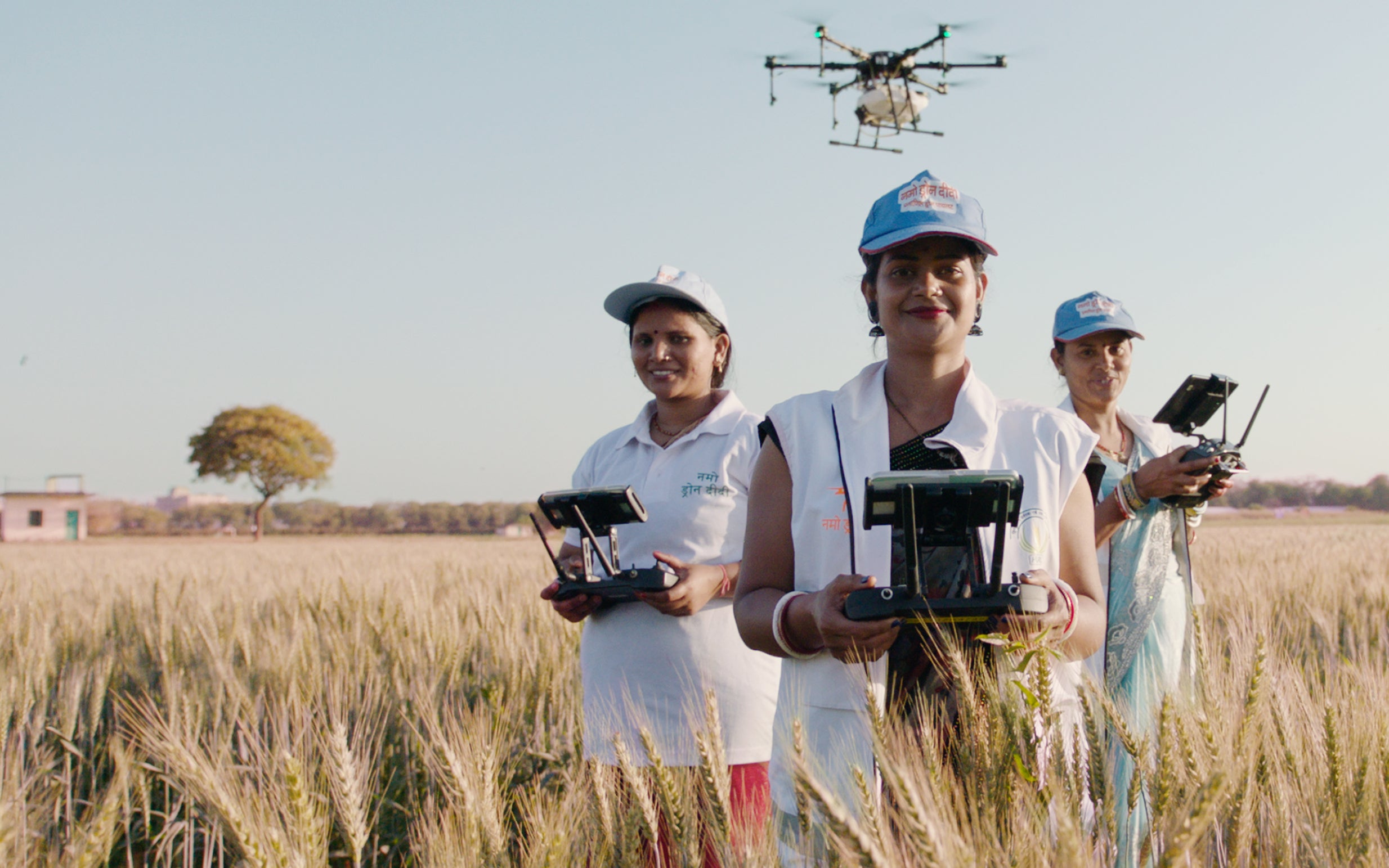 Three Drone Didis walking in a field of crops with two drones flying above.