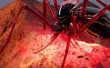 Computer generated image close up of a mosquito