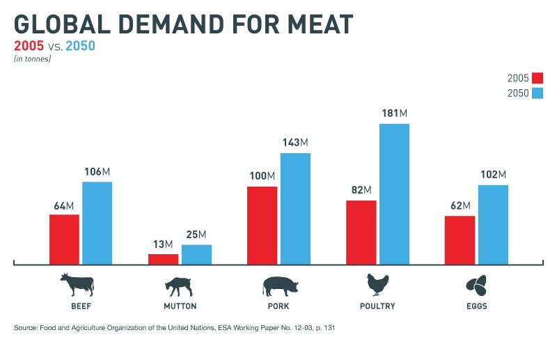 "Infographic: The Global Demand for Meat - The Future of Food | GatesNotes.com The Blog of Bill Gates"