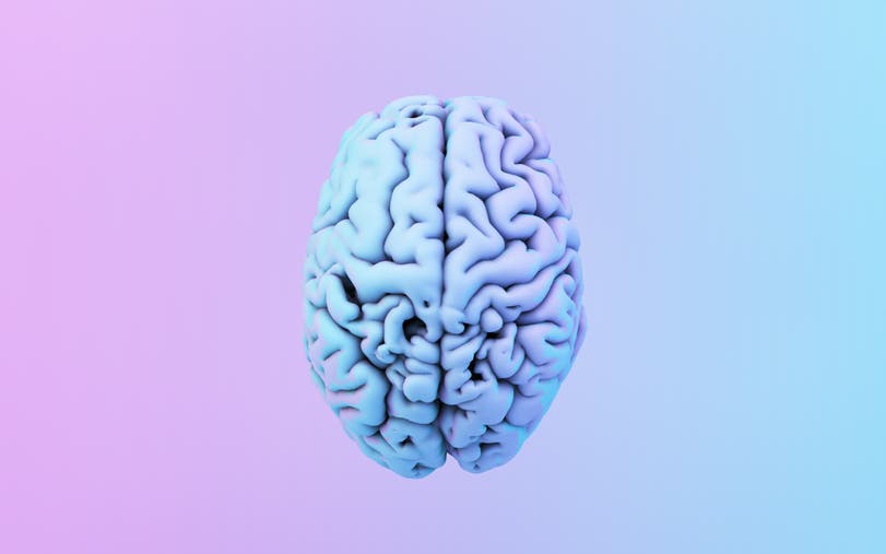 Alt description not provided