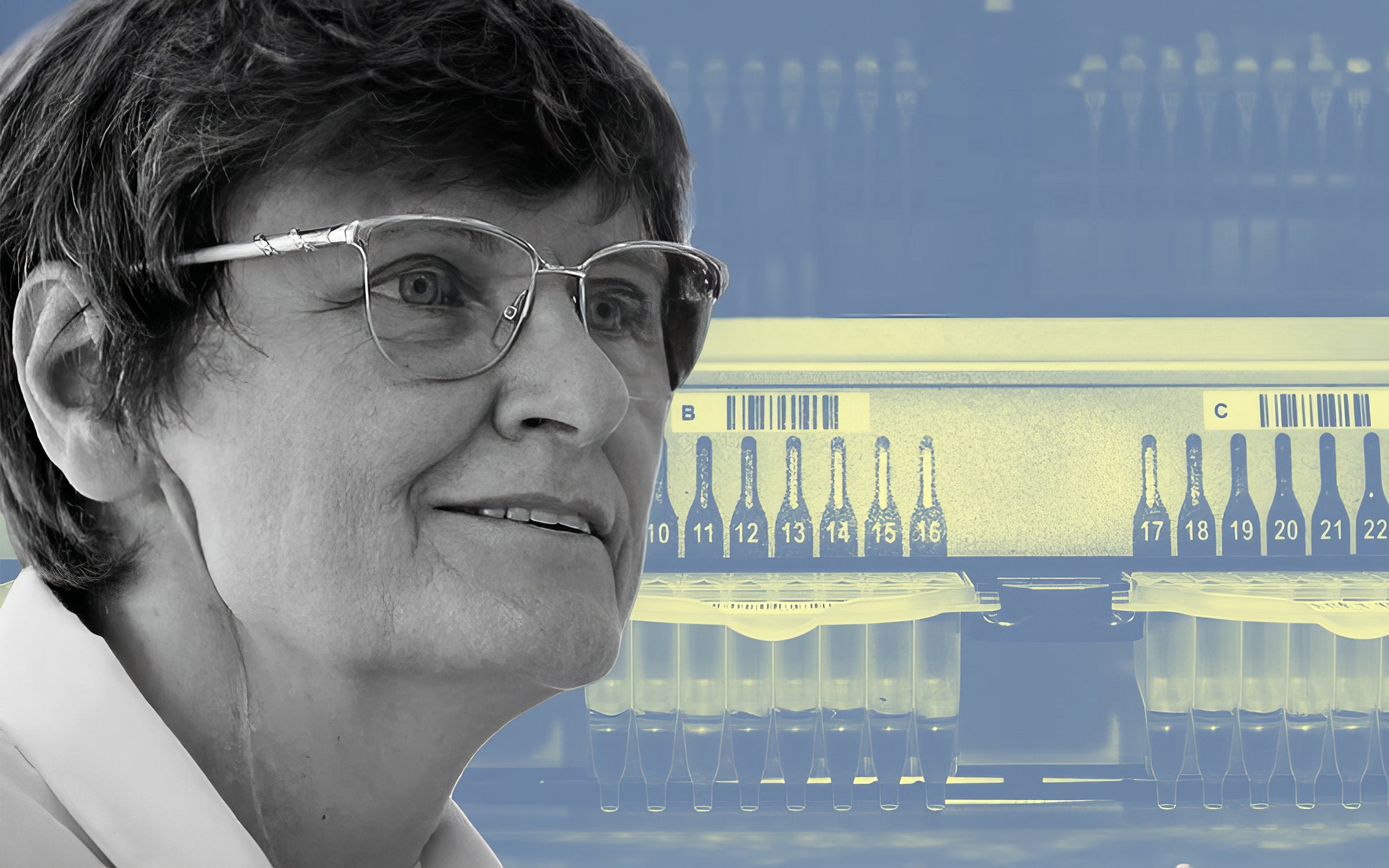 Alt description not provided