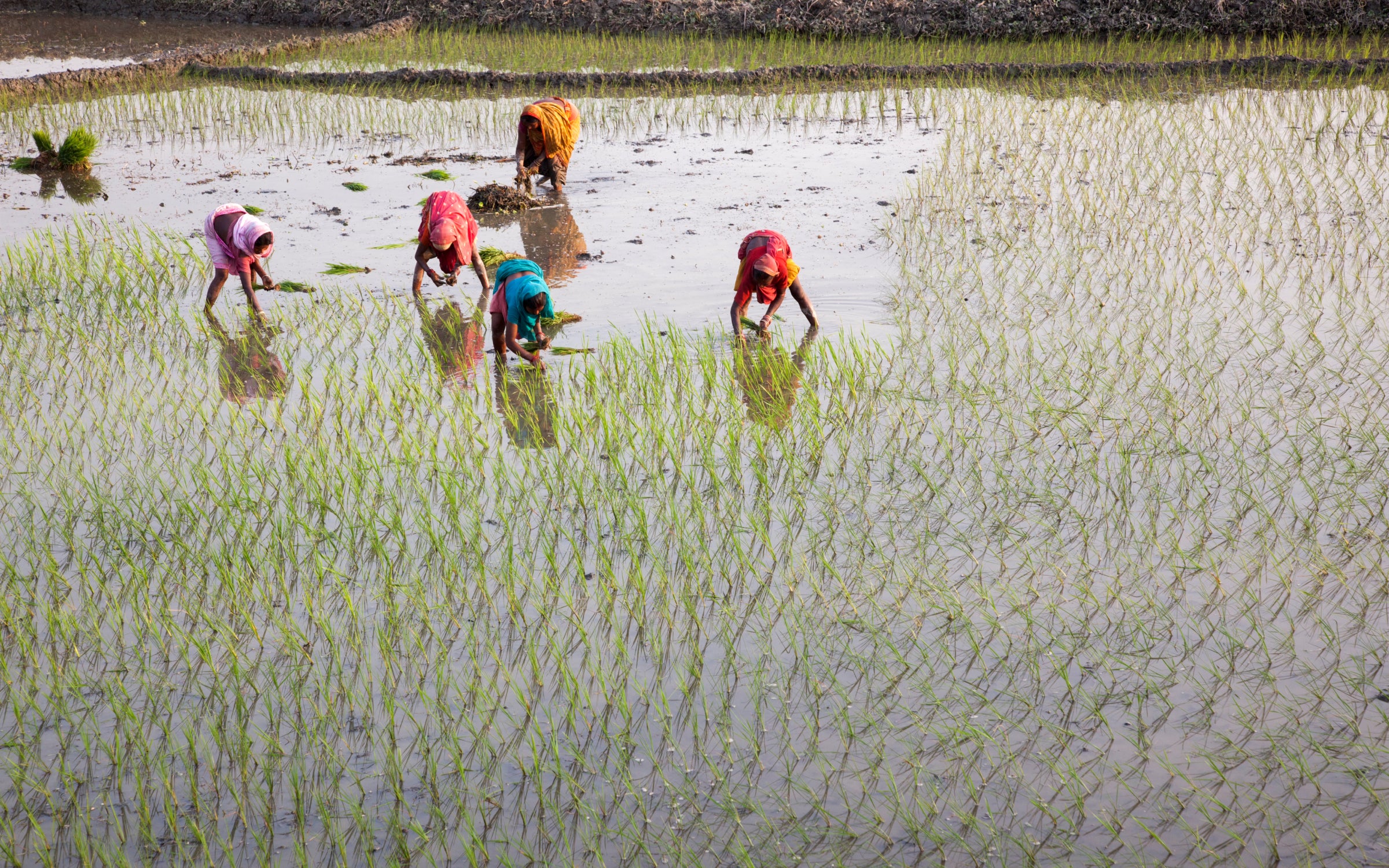 Alt description not provided