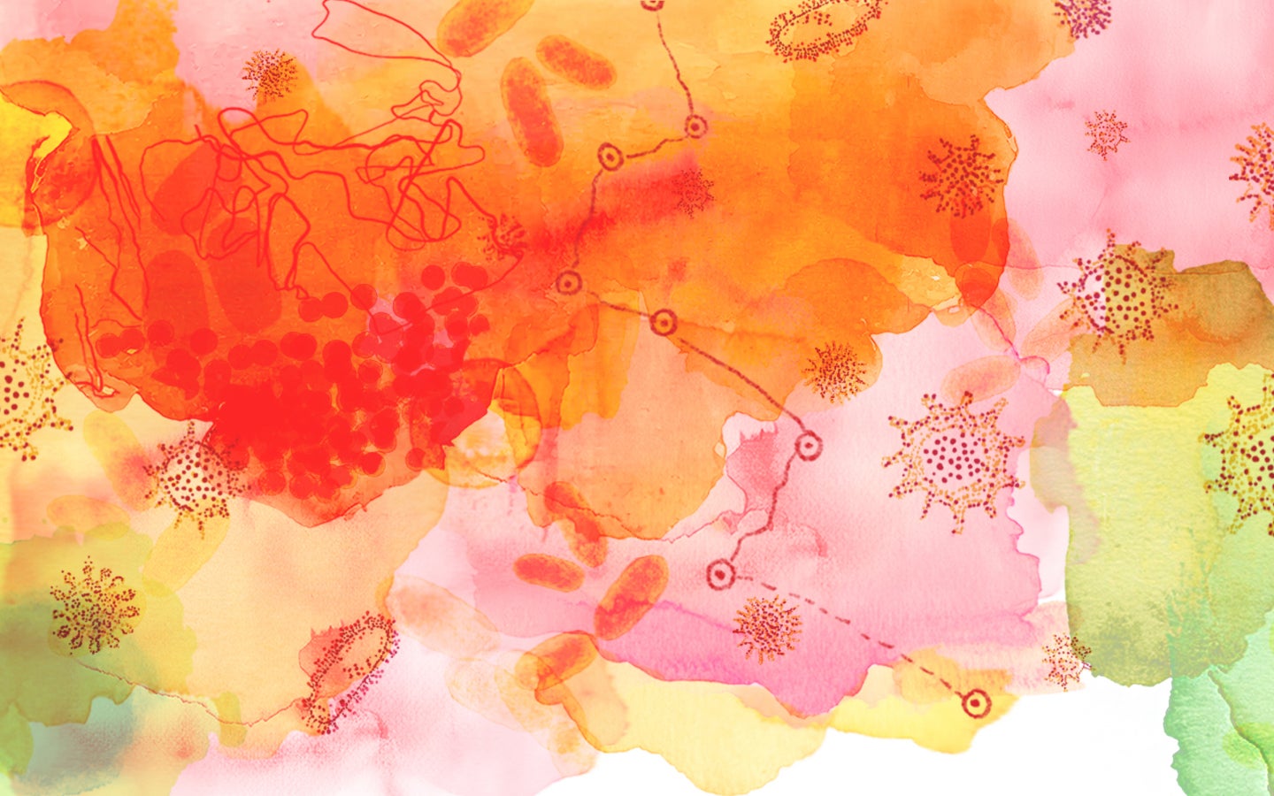 An illustration with color splotches and organic forms drawn on top.